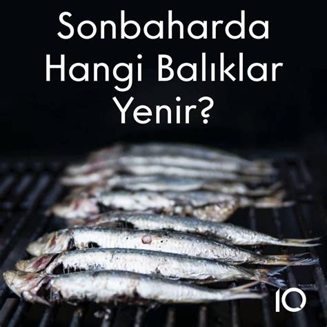 Sonbaharda Hangi Baliklar Yenir Layn