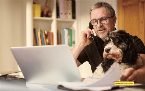 C Mo Trabajar De Forma Remota Con Tu Perro Consejos Que Debes