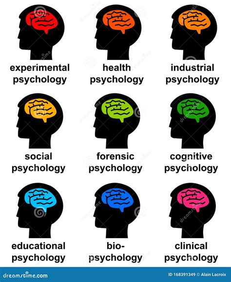 Psychology Branches Stock Illustration Illustration Of Learning