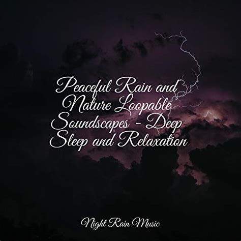 Peaceful Rain And Nature Loopable Soundscapes Deep Sleep And