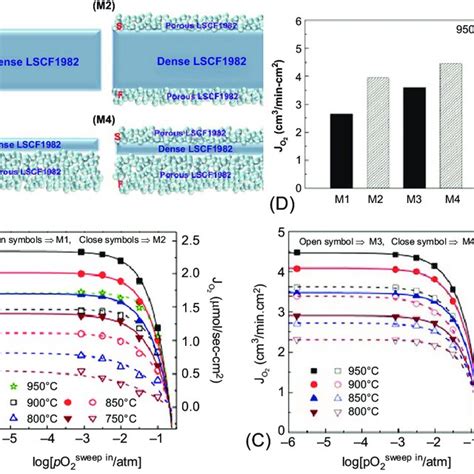 5 Diagrammatic Representation Of Various Lscf1982 Membranes M1 M4