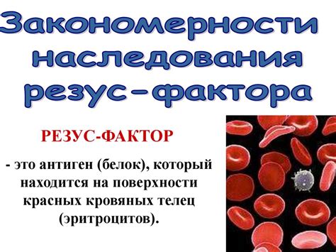 Резус фактор - презентация онлайн