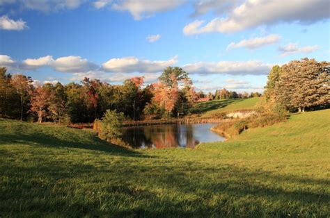 Your Guide To Farm Pond Design Countryside Network Farm Pond Pond