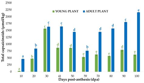 Capsaicinoid Content In The Pericarp And Placenta Of Bolilla Peppers Capsicum Annuum L