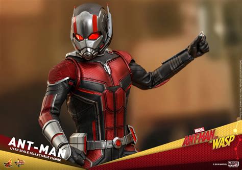 Hot Toys Mms Ant Man And The Wasp Ant Man Acaretoys Hot Toys