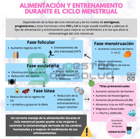 Cu Les Son Las T Cnicas De Control Hormonal Para Regular El Ciclo