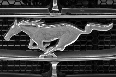 Ford Mustang Emblem In Black And White Poster Etsy