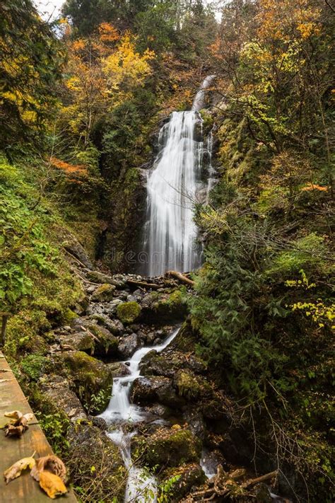 Waterfalls in autumn stock image. Image of forest, stream - 104721615