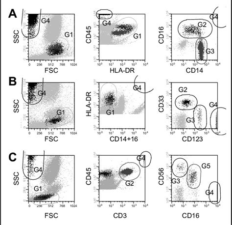 Gating Strategy For Identifying Monocyte Dendritic Cell Dc And