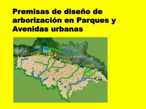 Pdf Premisas De Dise O De Arborizaci N En Parques Y Avenidas Urbanas