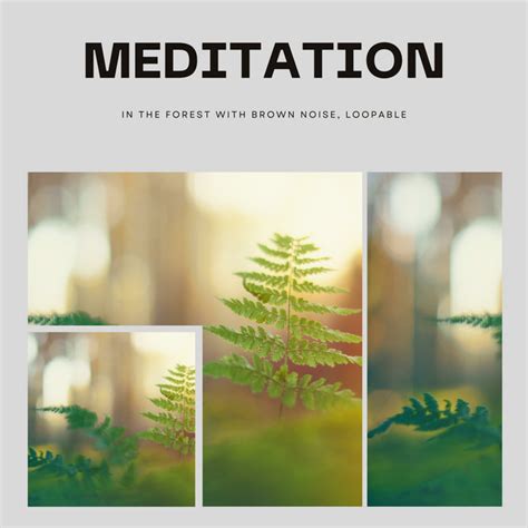 Meditation In The Forest With Brown Noise Loopable Album By Brown