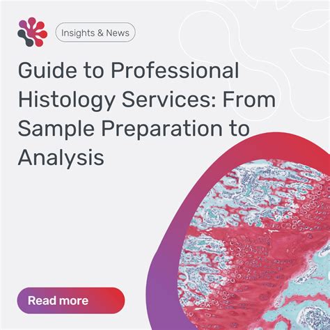 Guide To Professional Histology Services From Sample Preparation To