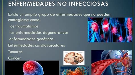 Proceso De Enfermedades Infecciosas Biologia Youtube