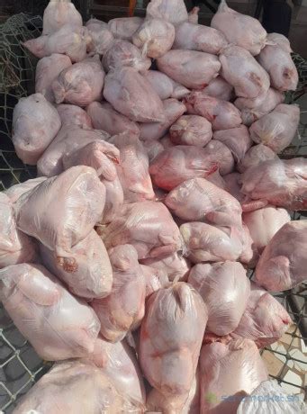 Vente de poulets de chair sur Dakar Sénégal