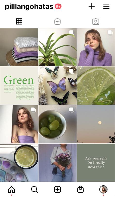 Insta: @pillangohatas | Instagram feed organizer, Instagram feed ...