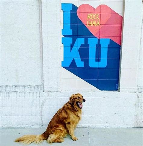 Pin By Lisa Hicks On My Jayhawks Rock Chalk Chalk Rock