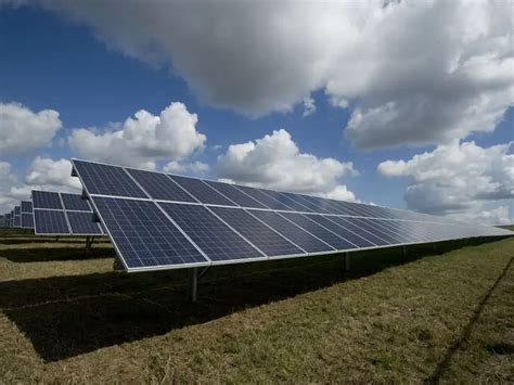 Agrovoltaica el encuentro entre agricultura y energía solar inNaturale