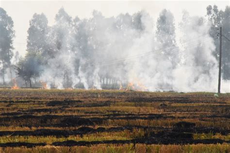 Air Pollution from Stubble Burning – NSS IIT Bombay