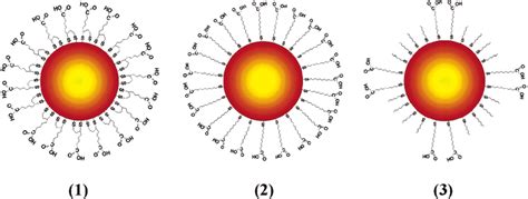 Schematic Representations Of Gold Nanoparticles Capped By Different