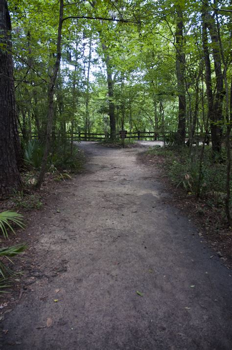 Devil S Millhopper Geological State Park Florida The Hiki Flickr