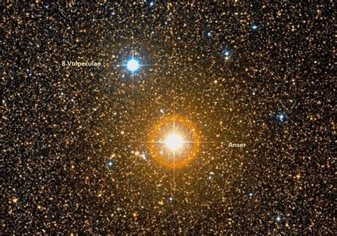 Anser (Alpha Vulpeculae): Star Type, Name, Location, Constellation ...