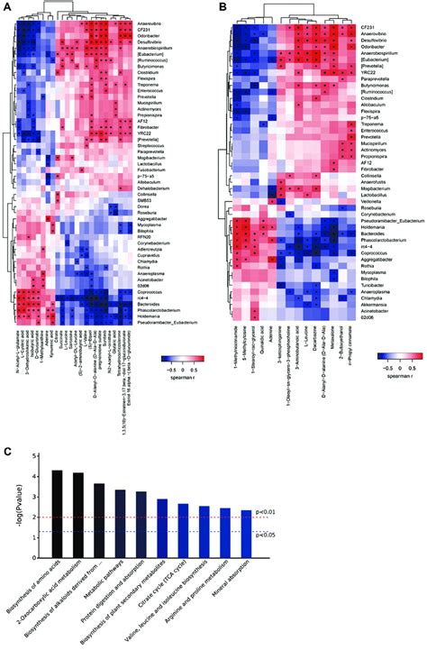 Relationship Between Metabolites And Gut Microbiota A Heat Map Of