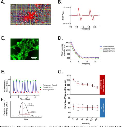 Figure 2 1 From Development Of In Vitro Drug Screening Platforms Using