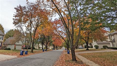 Ash Tree Removal Program City Of Overland Park Kansas