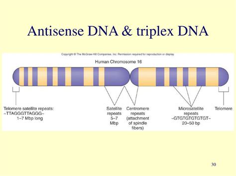 Ppt Foundations In Microbiology Powerpoint Presentation Id83101