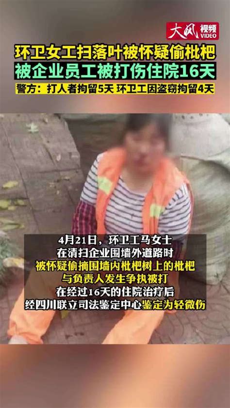 环卫工偷摘枇杷被打住院后被拘 警方：处罚既依法又合情 环卫工 被打 盗窃 新浪新闻