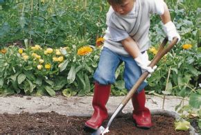 Comment Jardiner Avec Les Enfants Id Es Conseils Pour Les Parents Au