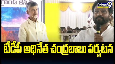 Tdp Chandrababu