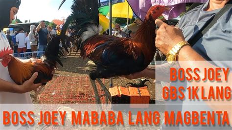 Affordable Price Ng Mga Manok Sa Bulacan Boss Joey Mababa Lang Magbenta