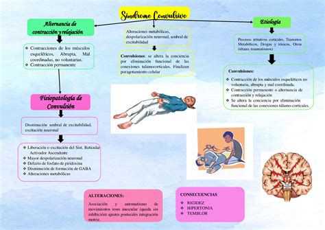 Sindrome convulsivo Alternancia de contracción y relajación