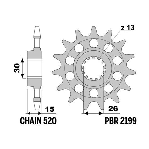 Pignone PBR Z17 Denti Passo 520 BMW S1000R 2017 2023 2199 17