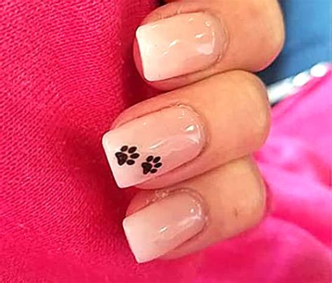 Paw Prints Nail Art Decals Moon Sugar Decals