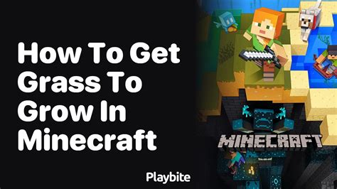 How To Get Grass To Grow In Minecraft Playbite