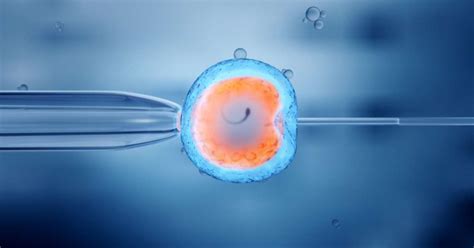 Reino Unido autoriza fecundação DNA de três progenitores