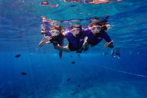 Maui Snorkeling Molokini Crater Turtle Gardens