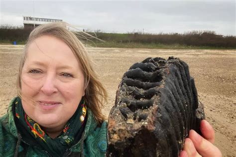 Amateur Fossil Hunter Searching Essex Beach Uncovers Huge Mammoth Tooth