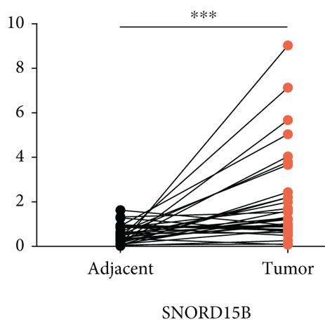 Expressions Of Snord B Snord And Snora C Were Upregulated In Crc