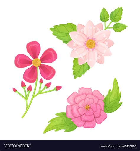 Beautiful Cartoon Flowers Set In Realistic Style Vector Image