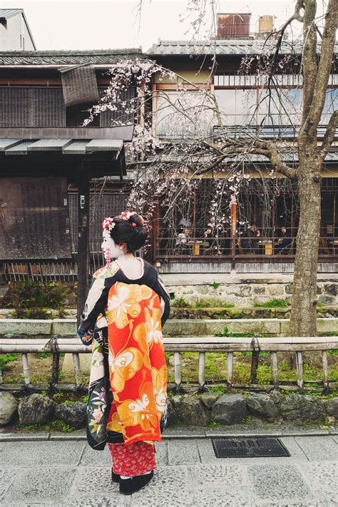 Geisha in Gion : r/japanpics