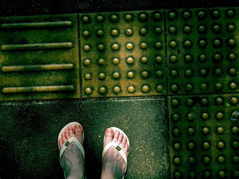 10 Hot Sexy Zamia Fandino Bikini Pics