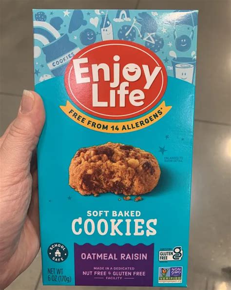 Enjoy Life Soft Baked Oatmeal Raisin Cookies