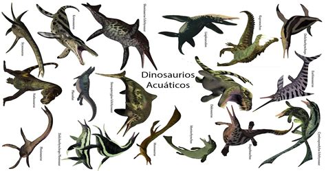 Dinosaurios Acu Ticos Tipos De Reptiles Marinos The Box Immersion