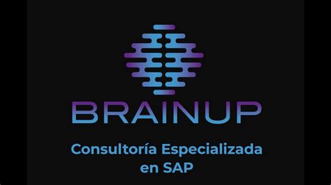 Consultoría Especializada en SAP YouTube