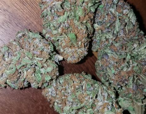 Hindu Kush Weedpedia Coupons And Reviews