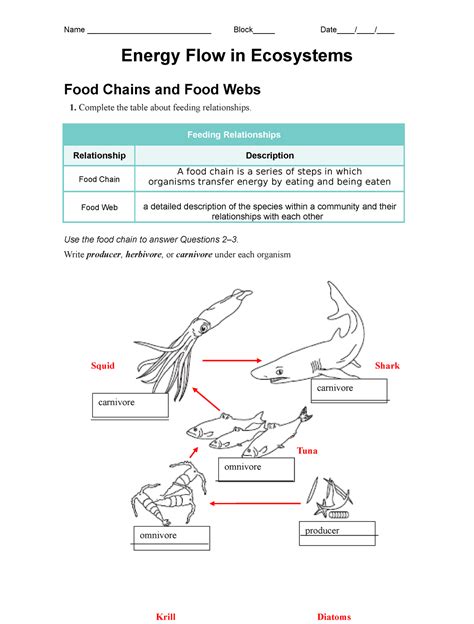 Energy Flow In Ecosystems Worksheet 1 Name Block Date Worksheets Library