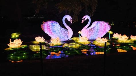 Tianyu Arts Culture Shines Bright With Their Chinese Lantern